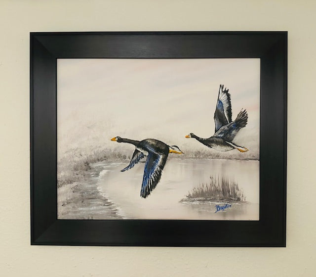 Canadian Geese taking Flight