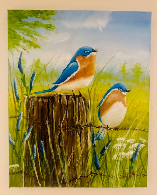 Blue Birds Enjoying the Afternoon