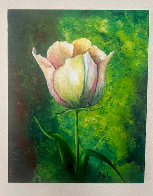 Spring Tulip