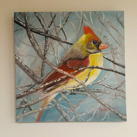 Female Cardinal
