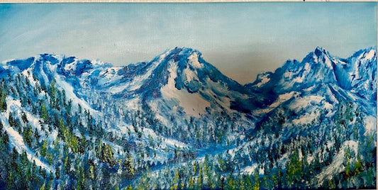 View From Hurricane Ridge